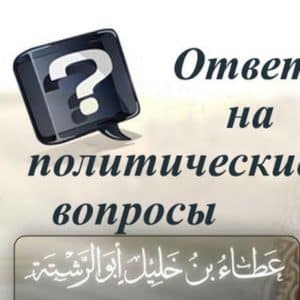Amir-politika