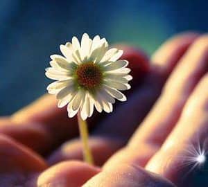 Slovo istiny gorkoe no proiznesti ego vadzhib x