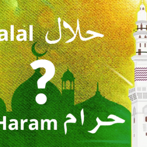 Vzglyad na zhizn u musulman hyalyal i haram x