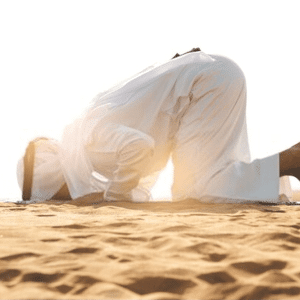 Utverzhdenie o tom chto trebuetsya poklonenie a ne deyatelnost po ustanovleniyu Islamskogo Gosudarstva x
