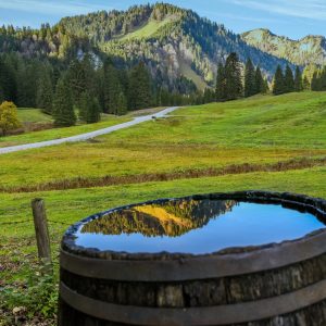 Zabota ob obshhestvennoi sobstvennosti x