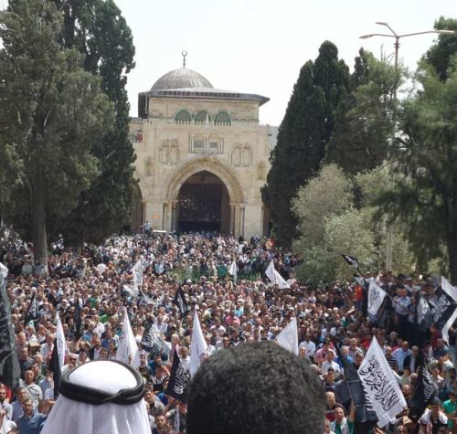 PAL AQSA RAJAB PICs x
