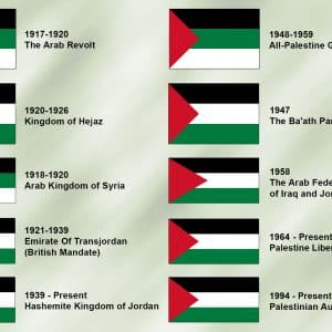 Flags x