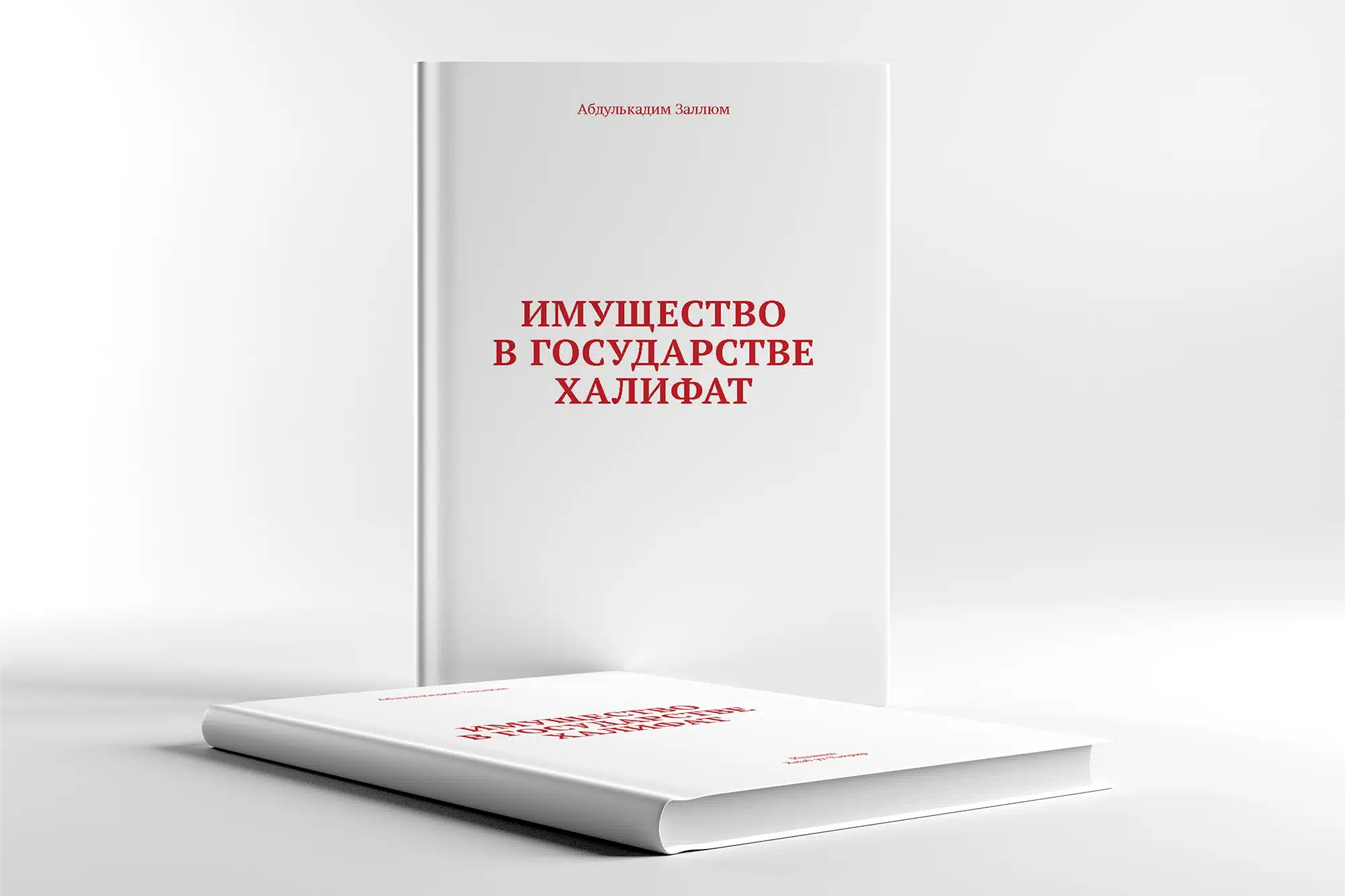Imushhestvo v Gosudarstve Halifat