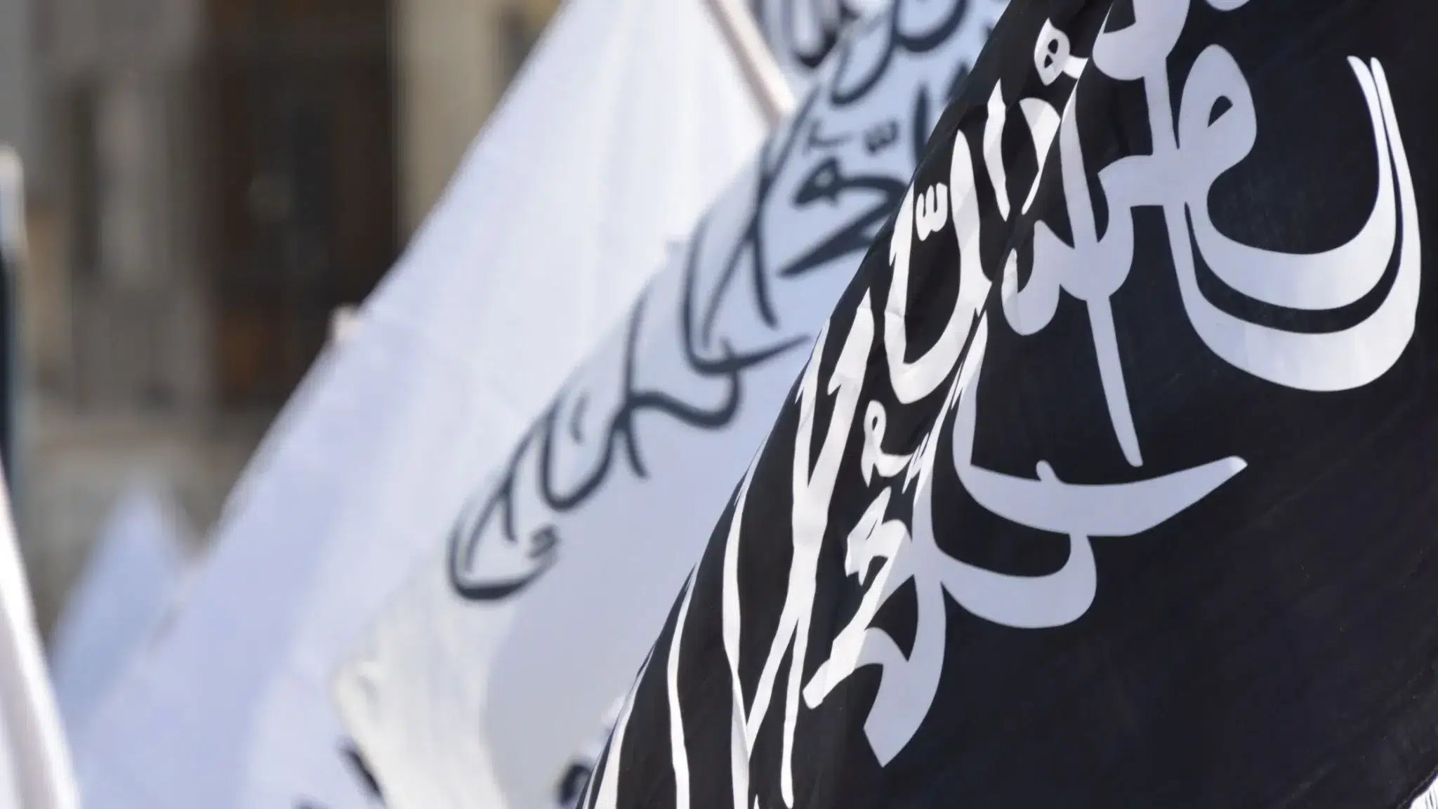 Untitled design  scaled