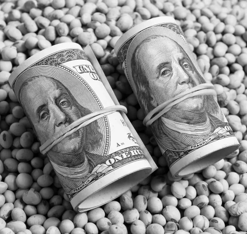 dollars banknotes coins soy beansoleaginous commoditi value concept kopiya x